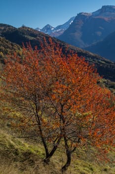 ausserberg,valais,swiss