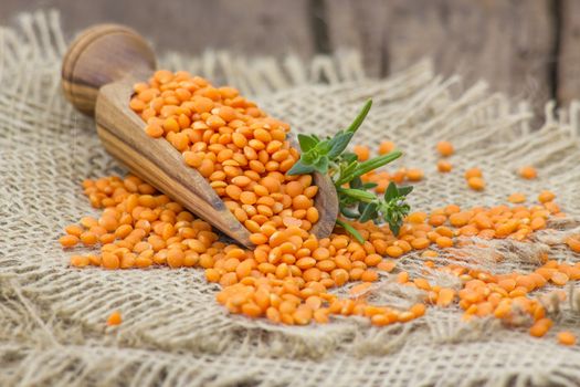 wooden scoop with lentils