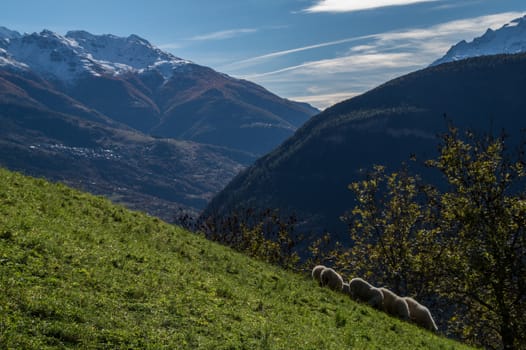 niwarch,ausserberg,valais,swiss