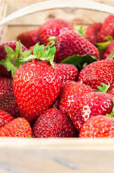 Closeup of fresh strawberries in a basket