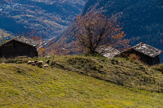 niwarch,ausserberg,valais,swiss