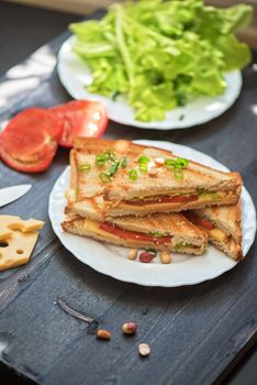 Cheese sandwich with tomato and green lettuce