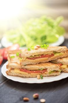 Cheese sandwich with tomato and green lettuce