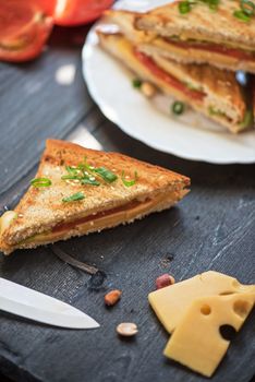 Cheese sandwich with tomato and green lettuce