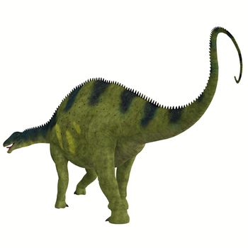 Brachytrachelopan was a herbivorous sauropod dinosaur that lived in Argentina during the Jurassic Period.