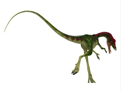 Compsognathus was a small carnivorous theropod dinosaur that lived during the Jurassic Period of Europe.