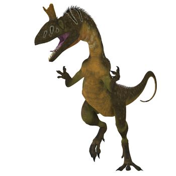 Cryolophosaurus was a large theropod carnivorous dinosaur that lived in Antarctica during the Jurassic Period.