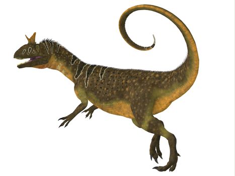 Cryolophosaurus was a large theropod carnivorous dinosaur that lived in Antarctica during the Jurassic Period.