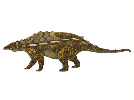 Gargoyleosaurus was an ankylosaur armored herbivorous dinosaur that lived in the Jurassic Age of Wyoming, North America.