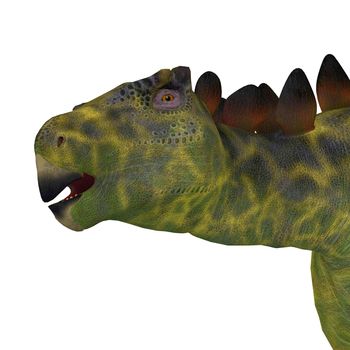 Huayangosaurus was an armored herbivorous dinosaur that lived in the Jurassic Period of China.