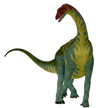 Jobaria was a herbivorous sauropod dinosaur that lived in the Jurassic Period of the Sahara Desert in Africa.