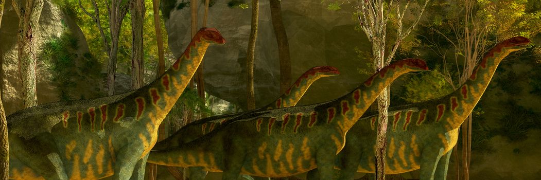 A herd of Jobaria dinosaurs pass through a heavily wooded forest on a Jurassic prehistoric day.