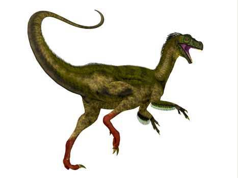 Ornitholestes was a small carnivorous dinosaur that lived in the Jurassic Period of Western Laurasia which is now North America.