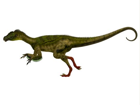 Ornitholestes was a small carnivorous dinosaur that lived in the Jurassic Period of Western Laurasia which is now North America.