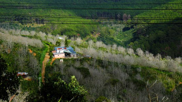 Beautiful panorama of Dalat countryside, Viet Nam, a agriculture residence with undulating terrain among hill and mountain make amazing scene of Da Lat rural, a place for Vietnam travel