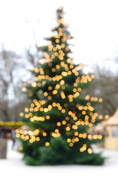 Abstract Blur Christmas pine tree in the park