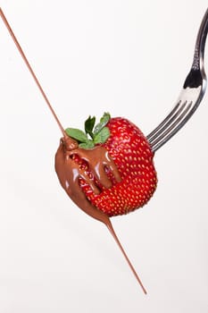 Strawberry in chocolate on a fork on isolated background