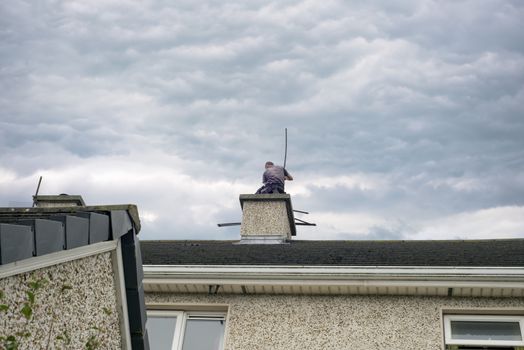chimney sweep busy cleaning chimney on top of a house