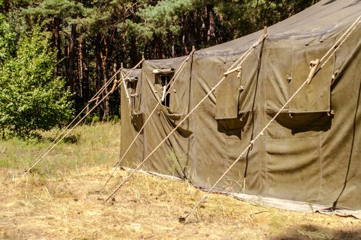 Green tent with tent camping, camping in the woods