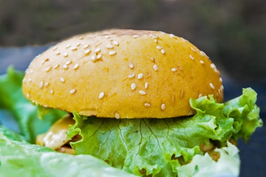 yellow hamburger with salad and sesame lying on a plate 