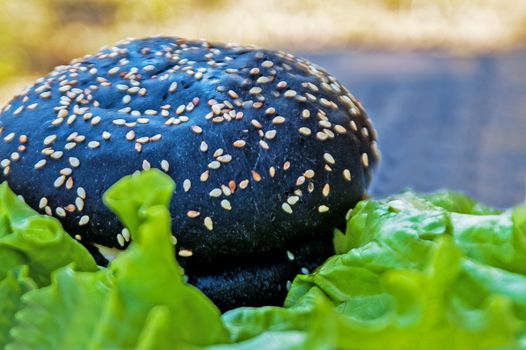 the lying tasty black burger with salad and sesame   