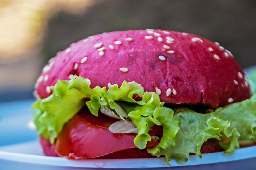 the lying tasty red burger with salad and sesame  
