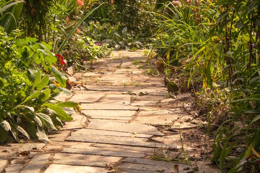 stone path in a garden in the summer, sunny day