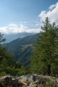 Piemonte natural reserve park ecotourism in summer vacation