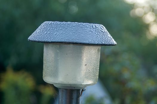 the garden lamp on solar batteries in a green garden among plants 