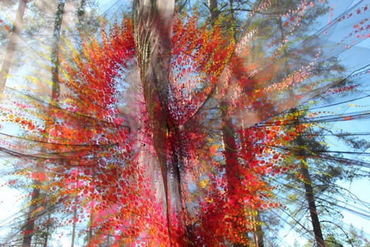  colorful hanging decoration for the music festival outdoors in the woods