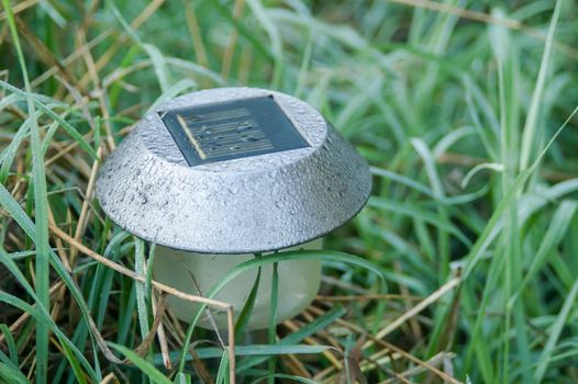 the garden lamp on solar batteries in a green garden among plants