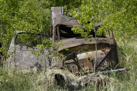 This wrecked car is in the bushes...what is the tory behind it?