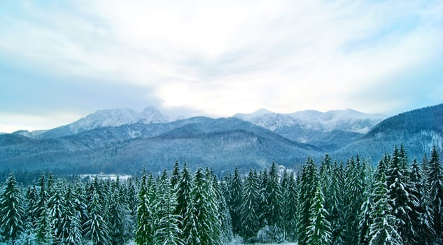 Panoramic view on Tatra Mountains in the evening