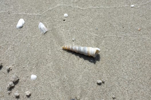 Texture of beach sand