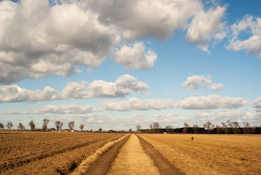 agricultural field, nature and agriculture farming series