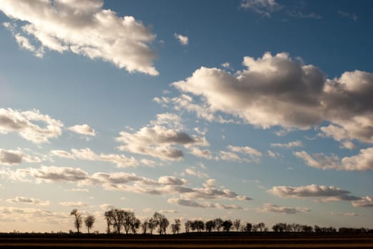 agricultural field, nature and agriculture farming series