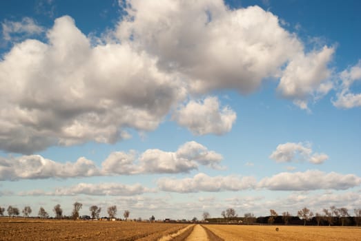 agricultural field, nature and agriculture farming series