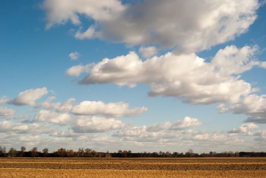 agricultural field, nature and agriculture farming series