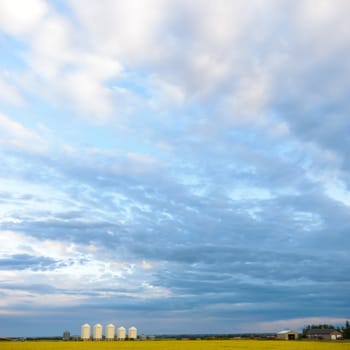 agricultural field, nature and agriculture farming series