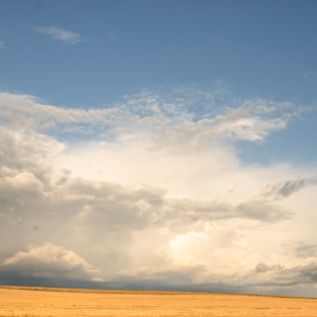 agricultural field, nature and agriculture farming series