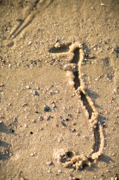 alphabet on natural background, more in this number series