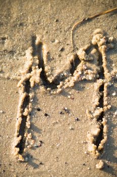 alphabet on natural background, more in this number series