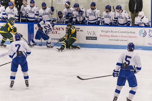 BIDDEFORD - JANUARY 09:  ice hockey game at University of New England in the arena in Biddeford, Maine, on January 09, 2016 in Biddeford, Maine, USA