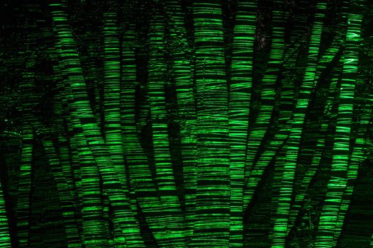 A group of trees are remarkably seen at night thanks to a green laser and a long exposure photography. The tracing of the laser was horizontal and thus the contours of the trees were clearly visible. In fact, we don't see their logs, but their profiles.