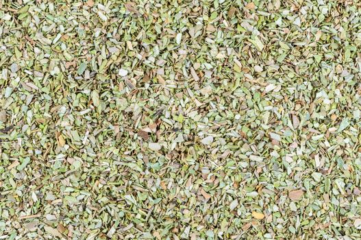 Dried oregano spice for background or texture use