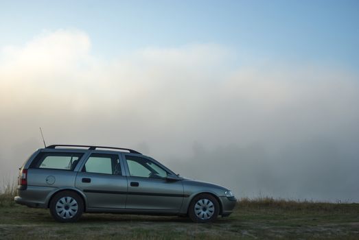 silver car between yellow and green plants