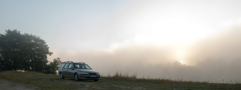 silver car between yellow and green plants