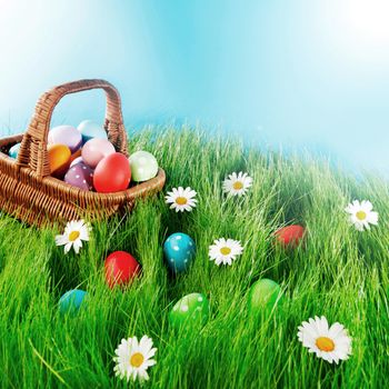 Easter basket with eggs on green meadow with flowers