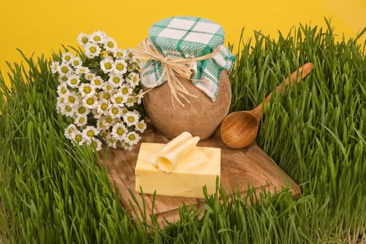 Butter, milk pot and camomiles on a green grass