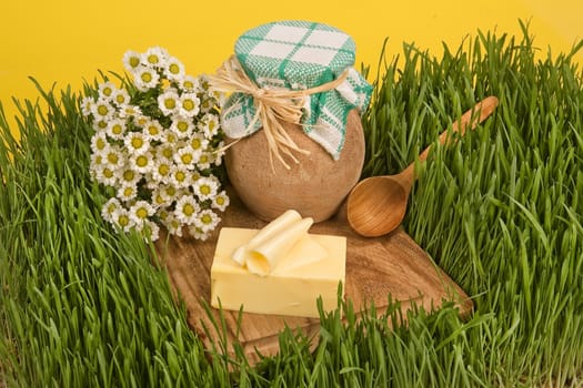 Butter, milk pot and camomiles on a green grass